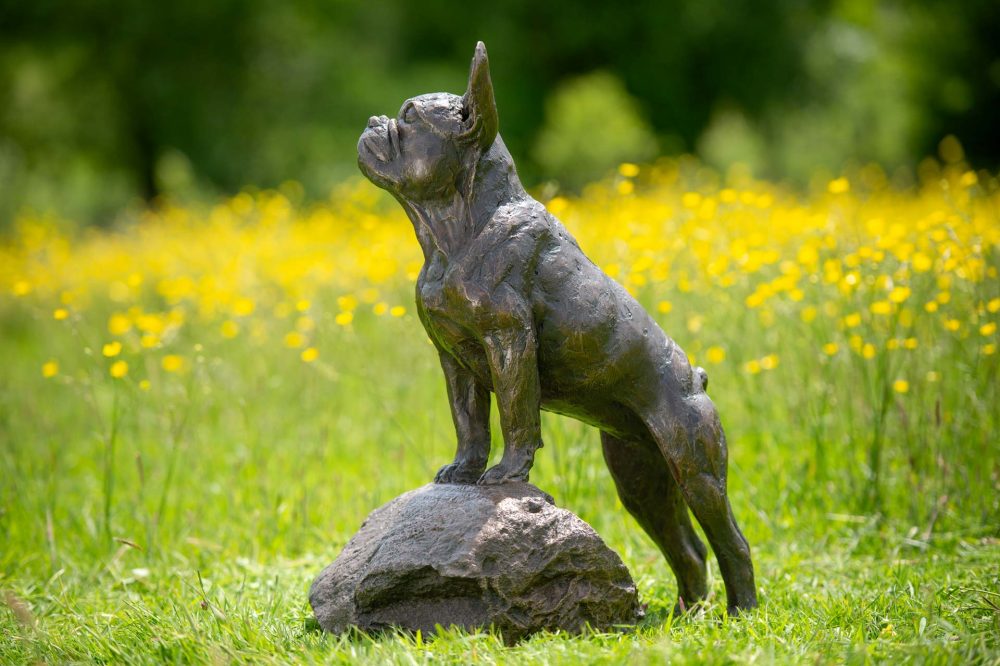 5 'Standing French Bulldog on Step'-, Bronze Dog, Dog Sculpture, Dog Statue, Bronze Resin, Tanya Russell Animal Sculptures-22