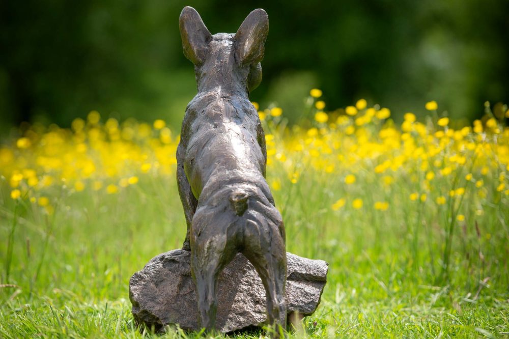 6 'Standing French Bulldog on Step'-, Bronze Dog, Dog Sculpture, Dog Statue, Bronze Resin, Tanya Russell Animal Sculptures-25