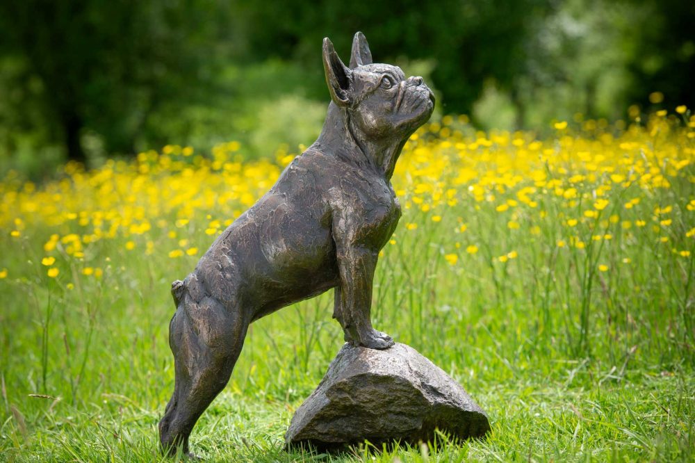 7 'Standing French Bulldog on Step'-, Bronze Dog, Dog Sculpture, Dog Statue, Bronze Resin, Tanya Russell Animal Sculptures-27