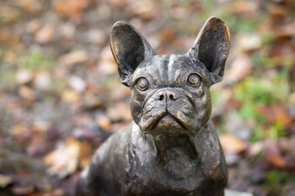 8 ''Standing French Bulldog on Step-, Bronze Dog, Dog Sculpture, Dog Statue, Bronze Resin, Tanya Russell Animal Sculptures-14