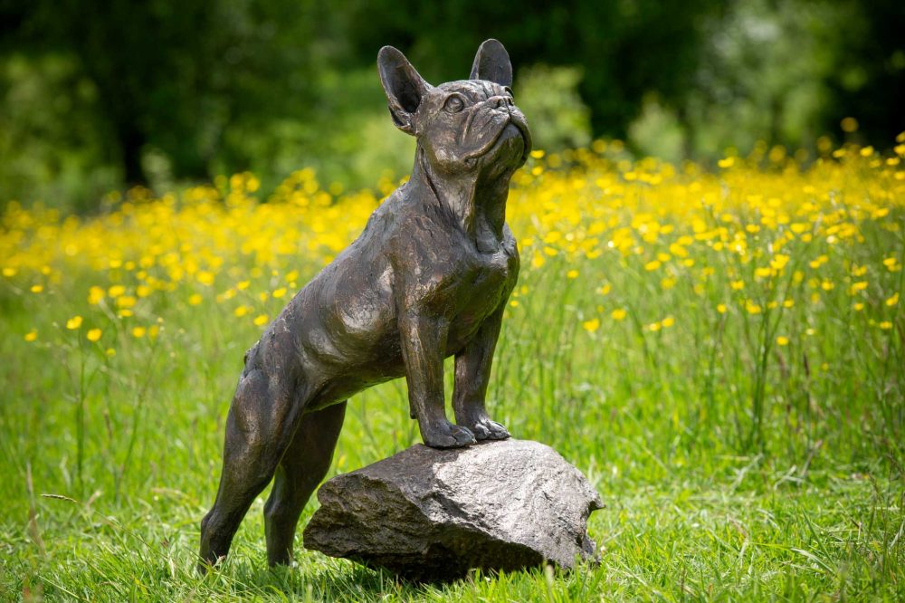 8 'Standing French Bulldog on Step'-, Bronze Dog, Dog Sculpture, Dog Statue, Bronze Resin, Tanya Russell Animal Sculptures-28