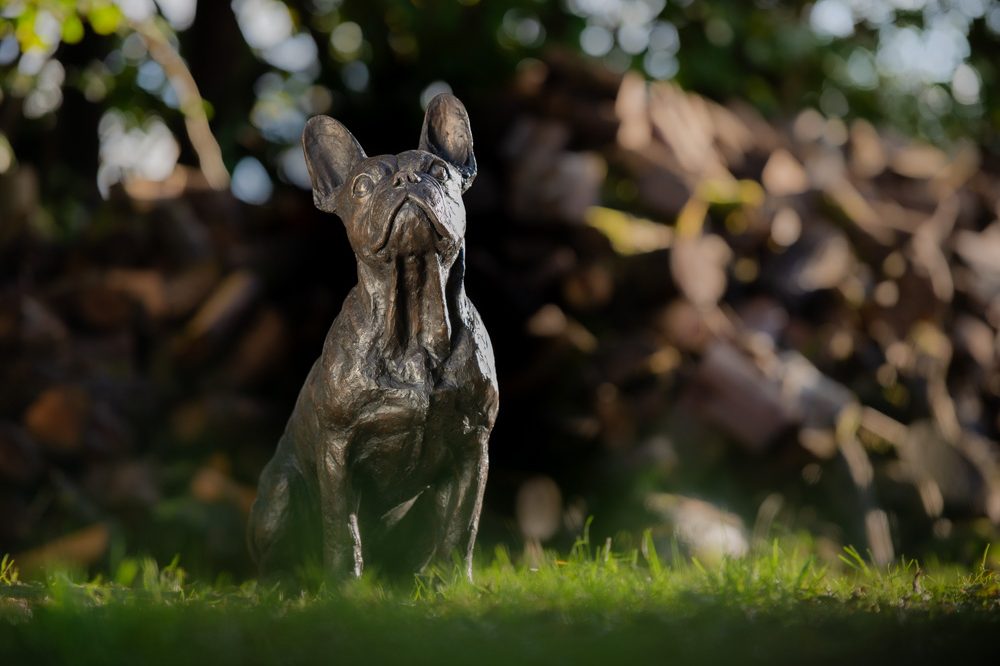 9 'French Bulldog', Bronze Dog, Dog Sculpture, Dog Statue, Bronze Resin Tanya Russell Animal Sculptures-1