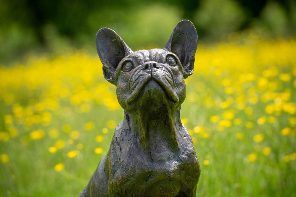 9 'Standing French Bulldog on Step'-, Bronze Dog, Dog Sculpture, Dog Statue, Bronze Resin, Tanya Russell Animal Sculptures-30