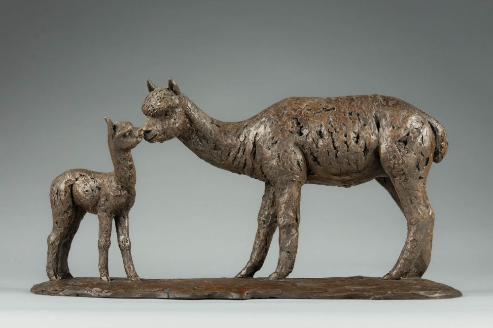 1 'Alpaca Dam and Cria', Bronze Alpaca Alpaca Sculpture, Bronze Resin, Tanya Russell Animal Sculptures -2