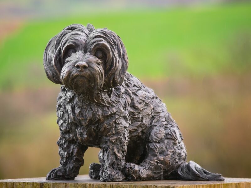 SITTING MALTESE TERRIER SCULPTURE 2