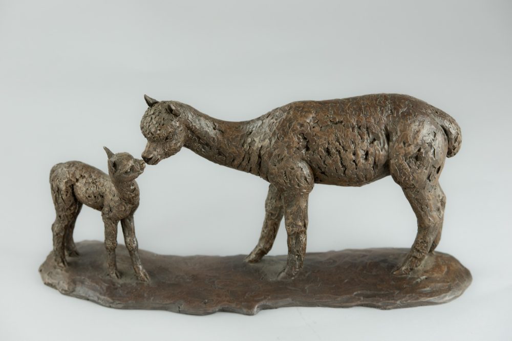 10 'Alpaca Dam and Cria', Bronze Alpaca Alpaca Sculpture, Bronze Resin, Tanya Russell Animal Sculptures (29 of 18)