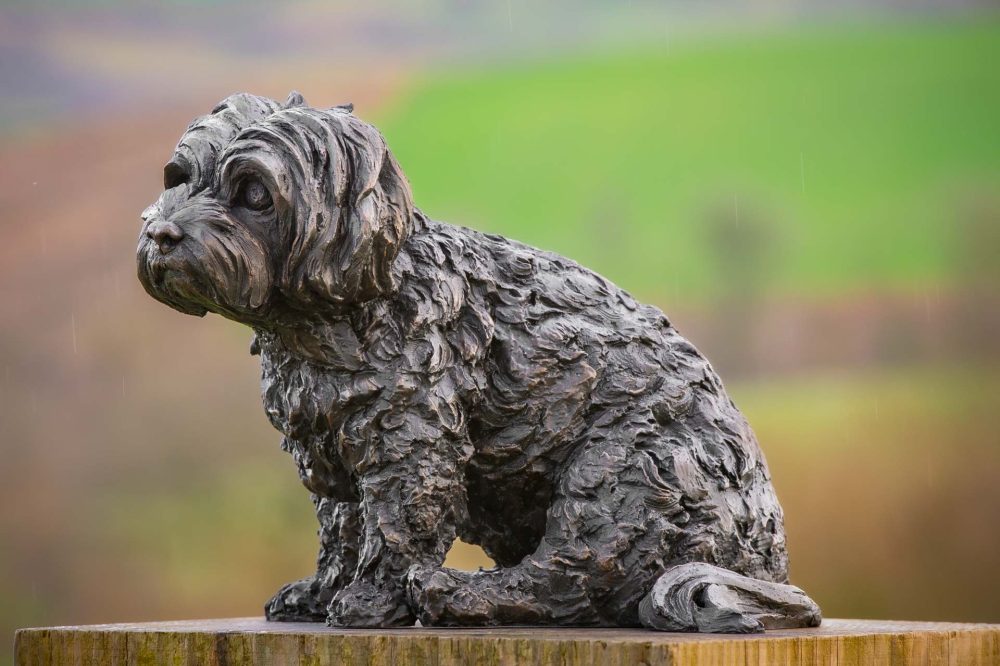 2 'Sitting Maltese Terrier 2', Bronze Dog, Dog Sculpture, Dog Statue, Bronze Resin, Tanya Russell Sculptures-2