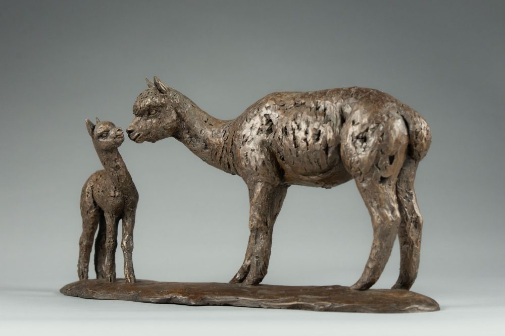 3 'Alpaca Dam and Cria', Bronze Alpaca Alpaca Sculpture, Bronze Resin, Tanya Russell Animal Sculptures -3