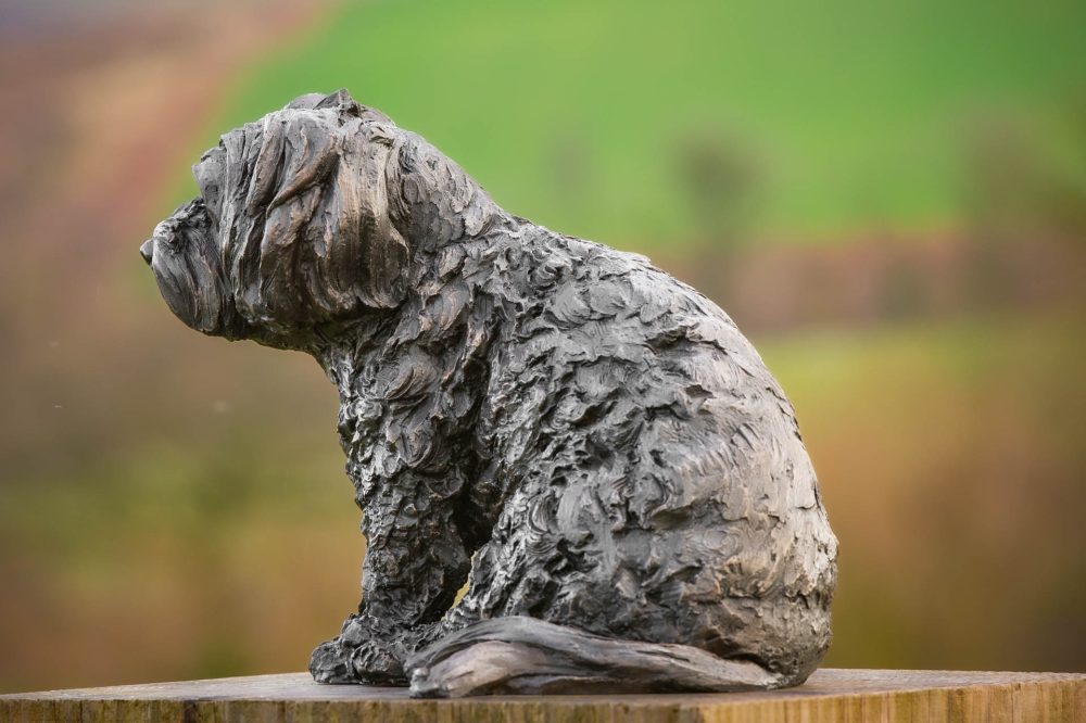 3 'Sitting Maltese Terrier 2', Bronze Dog, Dog Sculpture, Dog Statue, Bronze Resin, Tanya Russell Sculptures-3