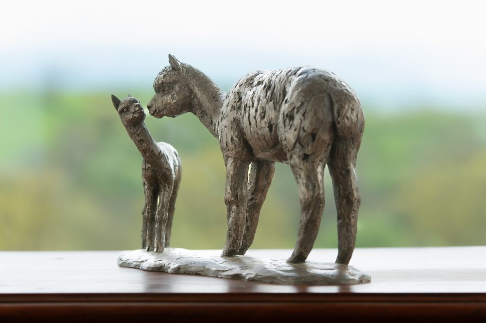 4 'Alpaca Dam and Cria', Bronze Alpaca Alpaca Sculpture, Bronze Resin, Tanya Russell Animal Sculptures (16 of 18)