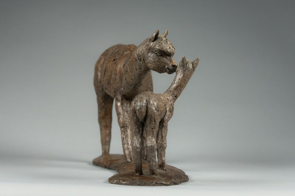 4 'Alpaca Dam and Cria', Bronze Alpaca Alpaca Sculpture, Bronze Resin, Tanya Russell Animal Sculptures -8
