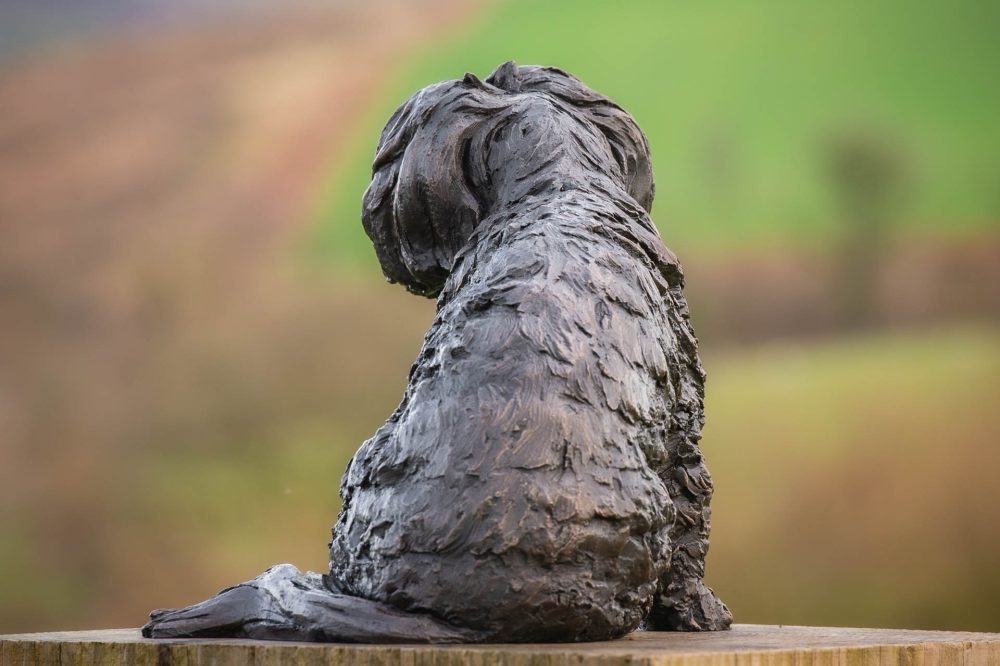 4 'Sitting Maltese Terrier 2', Bronze Dog, Dog Sculpture, Dog Statue, Bronze Resin, Tanya Russell Sculptures-4