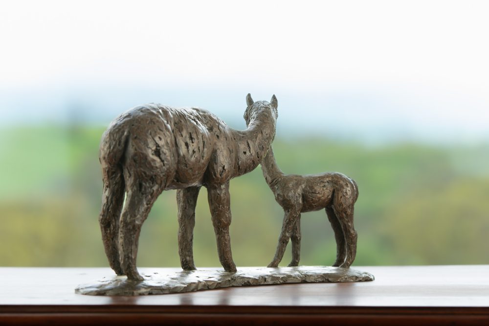 5 'Alpaca Dam and Cria', Bronze Alpaca Alpaca Sculpture, Bronze Resin, Tanya Russell Animal Sculptures (17 of 18)