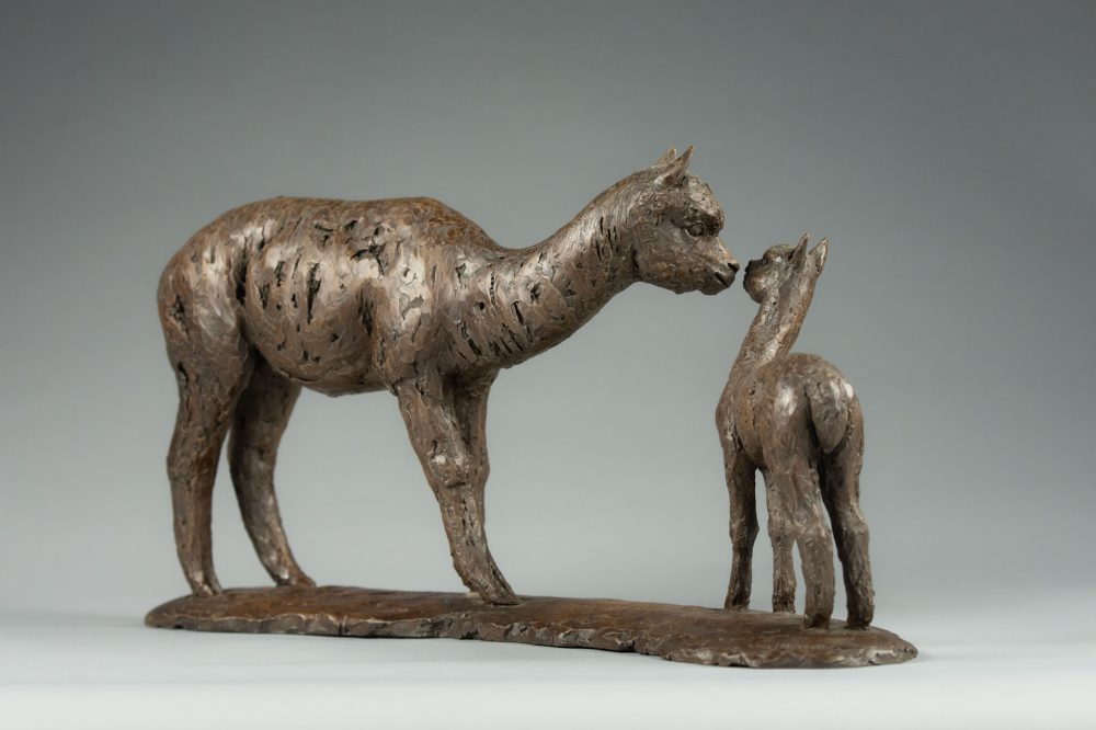 5 'Alpaca Dam and Cria', Bronze Alpaca Alpaca Sculpture, Bronze Resin, Tanya Russell Animal Sculptures -7