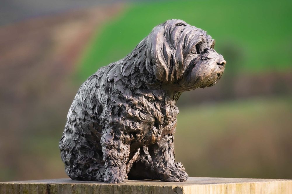 5 'Sitting Maltese Terrier 2', Bronze Dog, Dog Sculpture, Dog Statue, Bronze Resin, Tanya Russell Sculptures-7