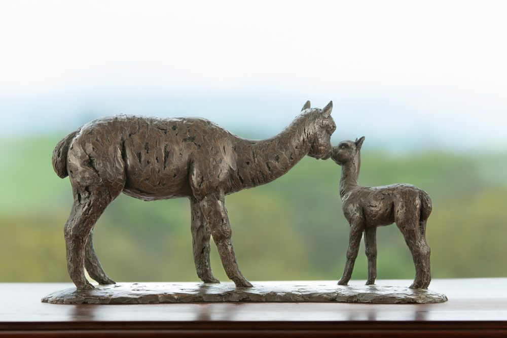 6 'Alpaca Dam and Cria', Bronze Alpaca Alpaca Sculpture, Bronze Resin, Tanya Russell Animal Sculptures (18 of 18)