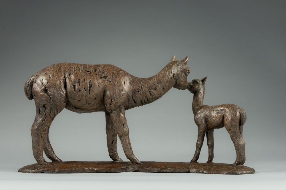 6 'Alpaca Dam and Cria', Bronze Alpaca Alpaca Sculpture, Bronze Resin, Tanya Russell Animal Sculptures -6