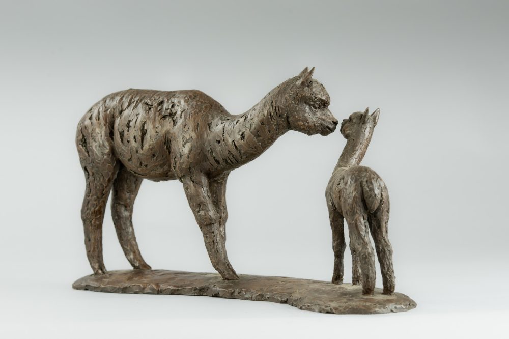 7 'Alpaca Dam and Cria', Bronze Alpaca Alpaca Sculpture, Bronze Resin, Tanya Russell Animal Sculptures (27 of 18)