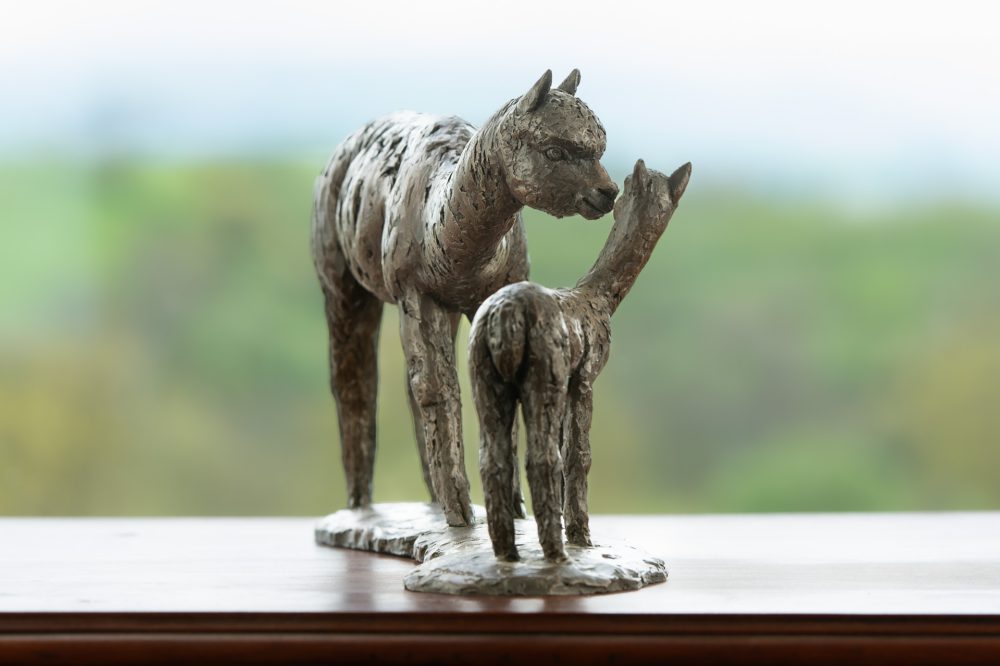 8 'Alpaca Dam and Cria', Bronze Alpaca Alpaca Sculpture, Bronze Resin, Tanya Russell Animal Sculptures (20 of 18)