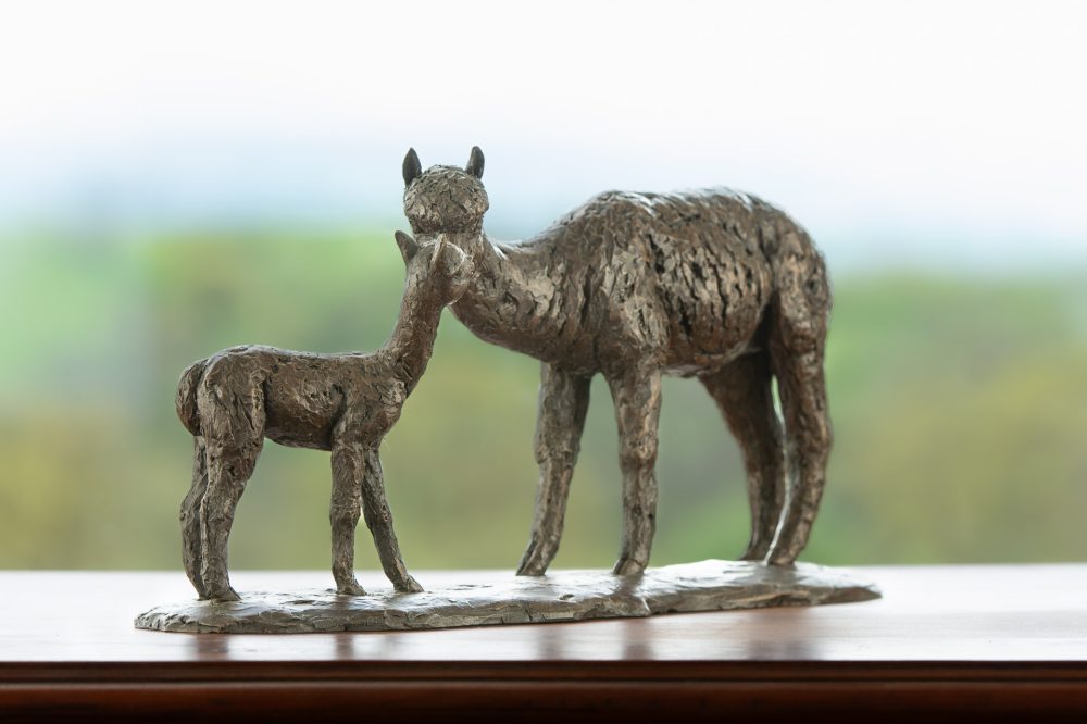 9 'Alpaca Dam and Cria', Bronze Alpaca Alpaca Sculpture, Bronze Resin, Tanya Russell Animal Sculptures (21 of 18)