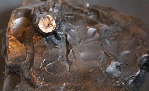 What is Patina in Sculpting? Understanding Bronze Patina