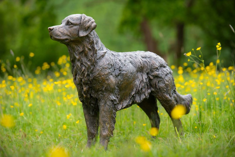 1 'Golden_Retriever', Bronze Dog, Dog Sculpture, Dog Statue, Bronze Resin, Tanya Russell Sculptures-3