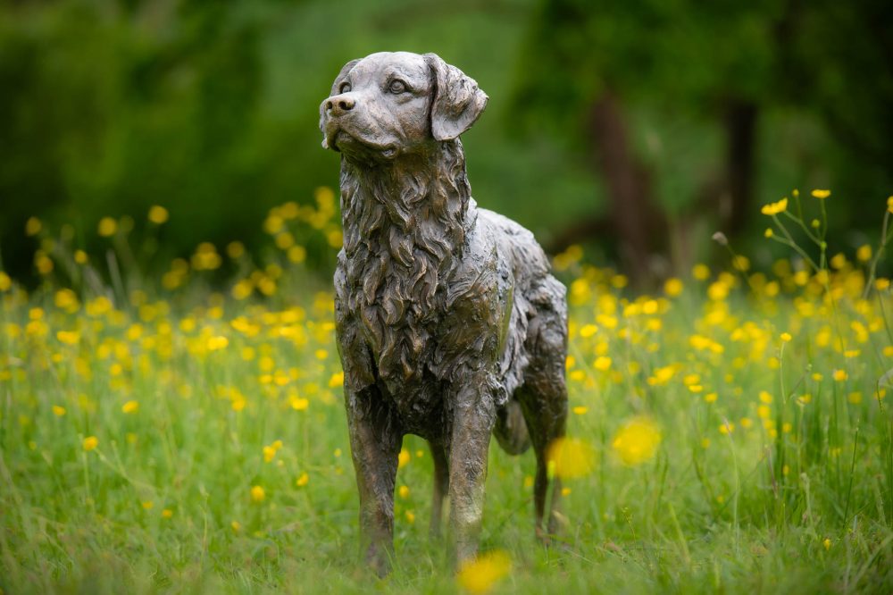 2 'Golden_Retriever', Bronze Dog, Dog Sculpture, Dog Statue, Bronze Resin, Tanya Russell Sculptures-2