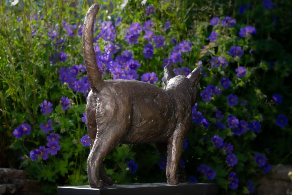 3 'Community Cat ', Bronze Cat, Cat Sculpture, Cat Statue, Bronze Resin, Tanya Russell Animal Sculptures-24