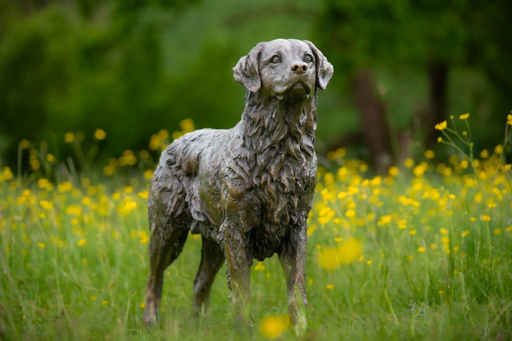 3 'Golden_Retriever', Bronze Dog, Dog Sculpture, Dog Statue, Bronze Resin, Tanya Russell Sculptures-1