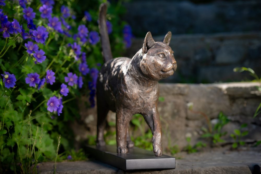 4 'Community Cat ', Bronze Cat, Cat Sculpture, Cat Statue, Bronze Resin, Tanya Russell Animal Sculptures-19