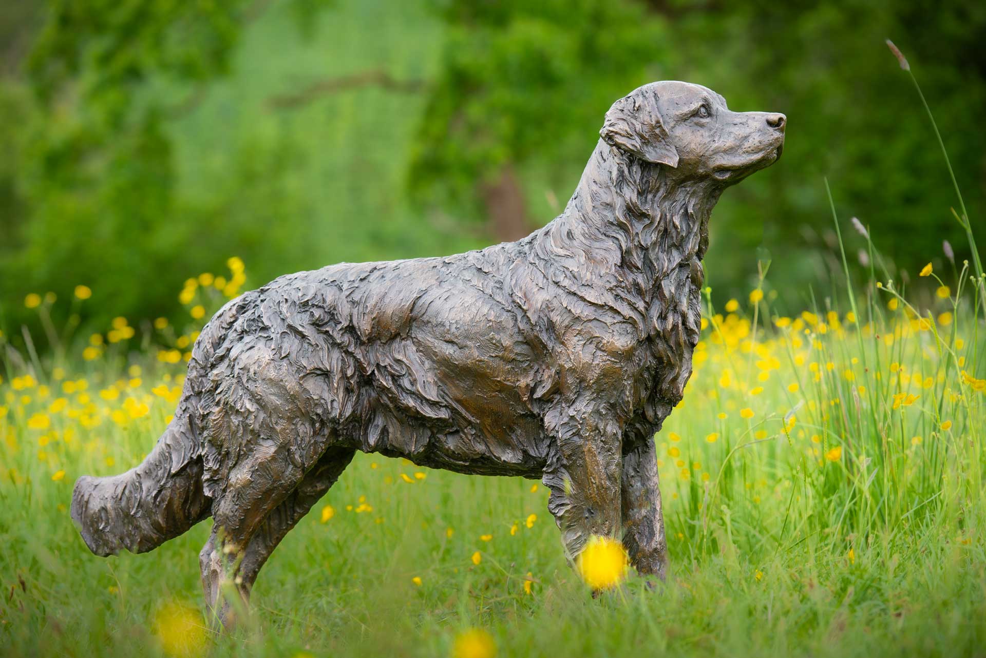 bronze sitting longhaired cat sculpture