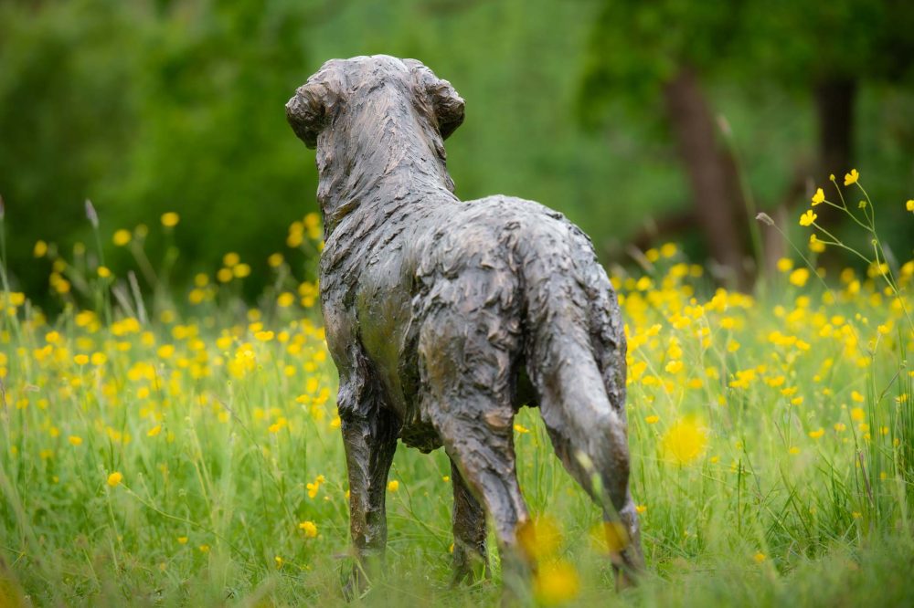 6 'Golden_Retriever', Bronze Dog, Dog Sculpture, Dog Statue, Bronze Resin, Tanya Russell Sculptures-6