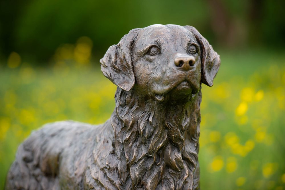 8 'Golden_Retriever', Bronze Dog, Dog Sculpture, Dog Statue, Bronze Resin, Tanya Russell Sculptures-9