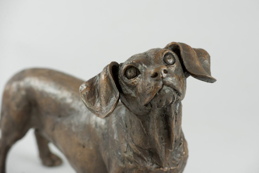 11 'Standing Dachshund', Bronze Dog, Dog Sculpture, Dog Statue, Bronze Resin, Tanya Russell Sculptures (12 of 14)