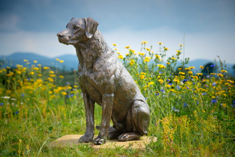 2 'Sporting Labrador', Bronze Dog, Dog Sculpture, Dog Statue, Bronze Resin, Tanya Russell Sculptures-2