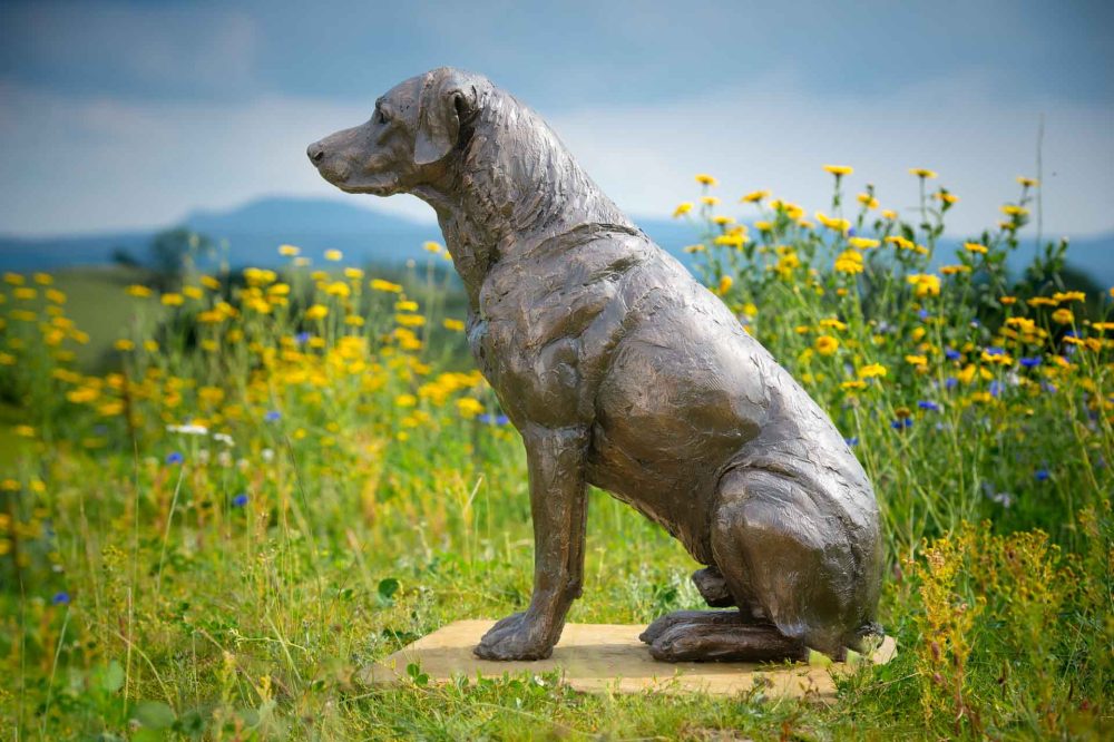 3 'Sporting Labrador', Bronze Dog, Dog Sculpture, Dog Statue, Bronze Resin, Tanya Russell Sculptures-3