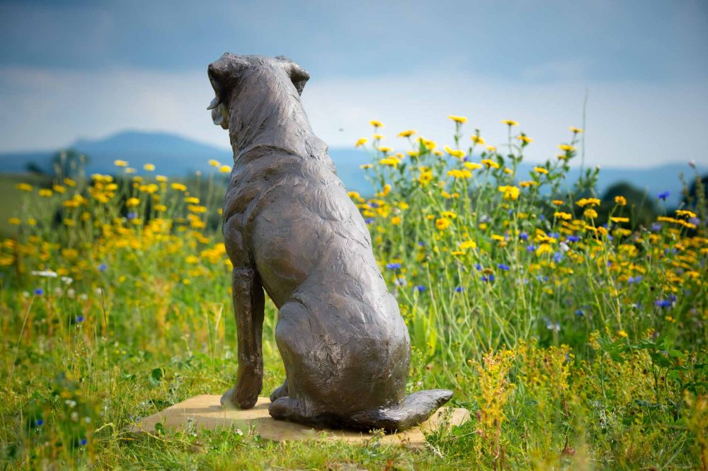 4 'Sporting Labrador', Bronze Dog, Dog Sculpture, Dog Statue, Bronze Resin, Tanya Russell Sculptures-4