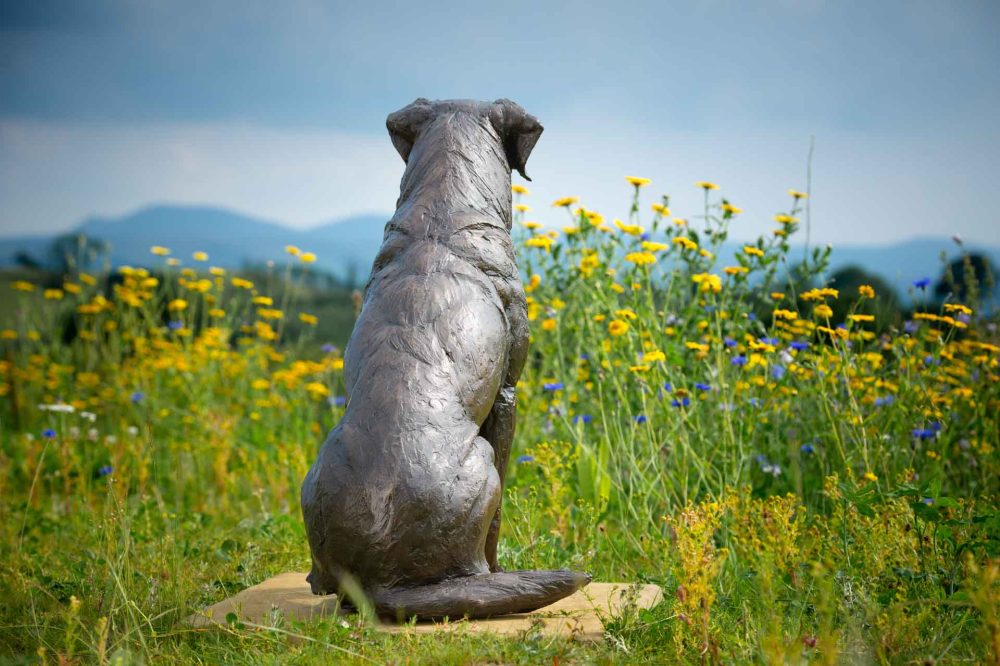 5 'Sporting Labrador', Bronze Dog, Dog Sculpture, Dog Statue, Bronze Resin, Tanya Russell Sculptures-5