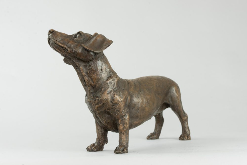 5 'Standing Dachshund', Bronze Dog, Dog Sculpture, Dog Statue, Bronze Resin, Tanya Russell Sculptures (4 of 14)