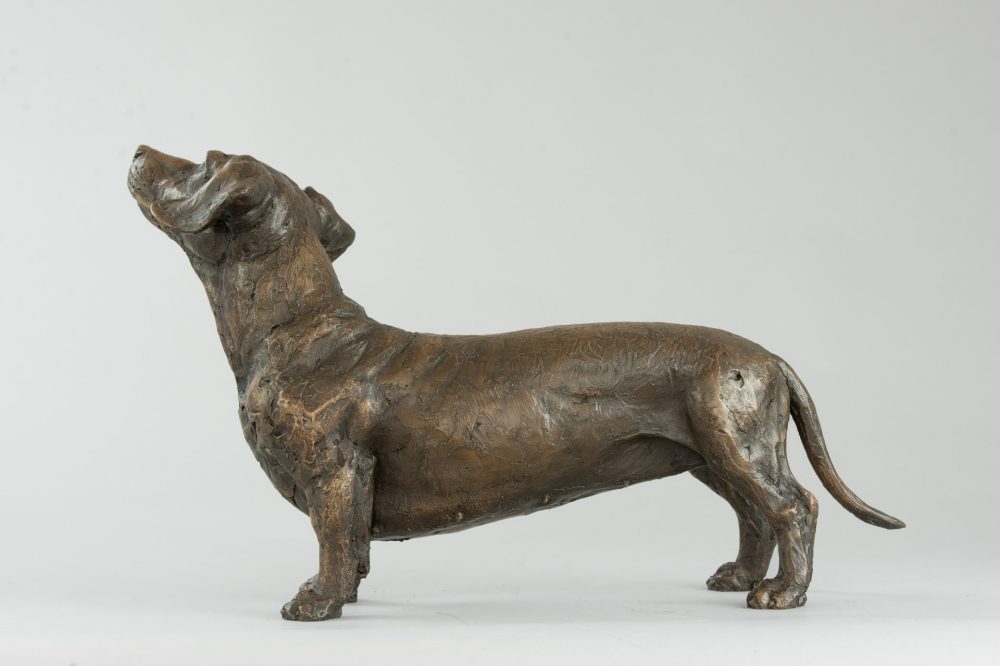 6 'Standing Dachshund', Bronze Dog, Dog Sculpture, Dog Statue, Bronze Resin, Tanya Russell Sculptures (5 of 14)