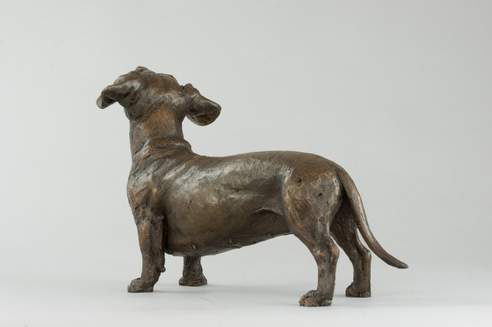 7 'Standing Dachshund', Bronze Dog, Dog Sculpture, Dog Statue, Bronze Resin, Tanya Russell Sculptures (6 of 14)