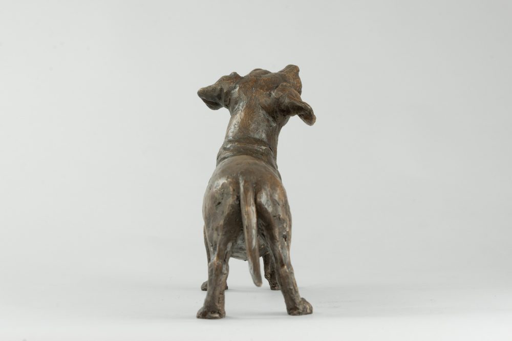 8 'Standing Dachshund', Bronze Dog, Dog Sculpture, Dog Statue, Bronze Resin, Tanya Russell Sculptures (7 of 14)