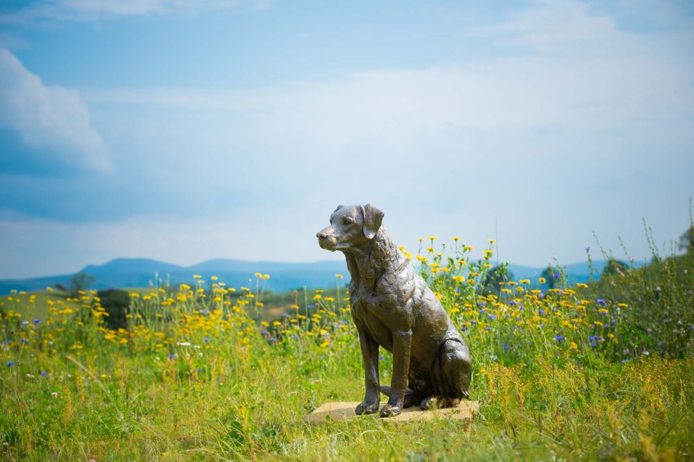 9 'Sporting Labrador', Bronze Dog, Dog Sculpture, Dog Statue, Bronze Resin, Tanya Russell Sculptures-9