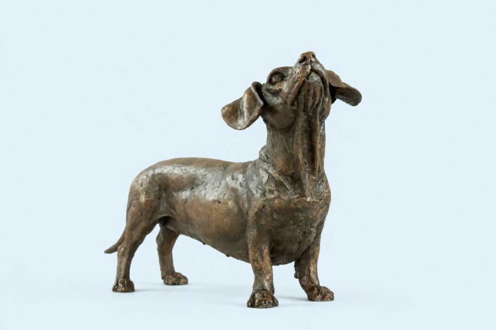 Blue background standing dachshund BR 2