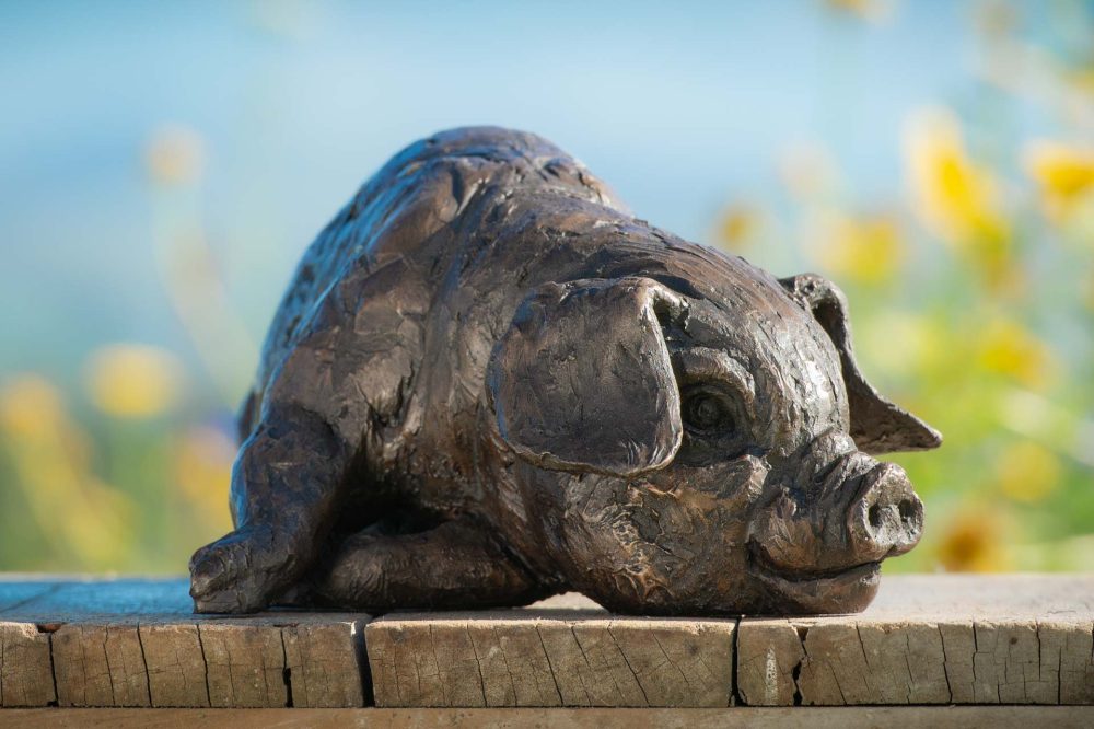 1 'Lying Piglet', Piglet Sculpture, Bronze Piglet, Bronze Resin, Tanya Russell Animal Sculptures (4 of 9)