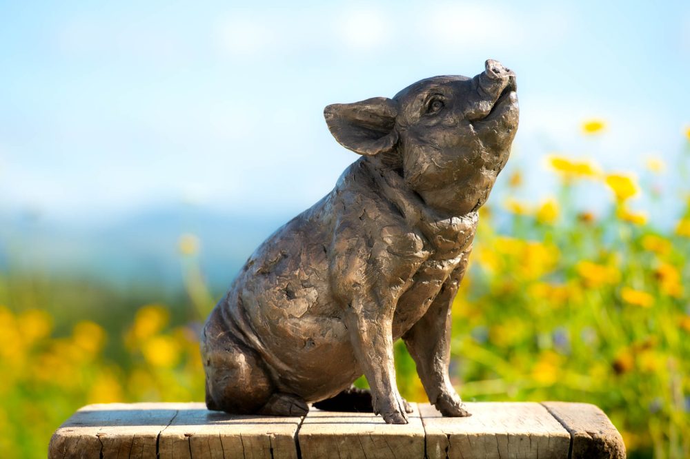 1 'Sitting Piglet', Piglet Sculpture, Bronze Fawn, Foundry Bronze Resin, Tanya Russell Animal Sculptures (6 of 12)