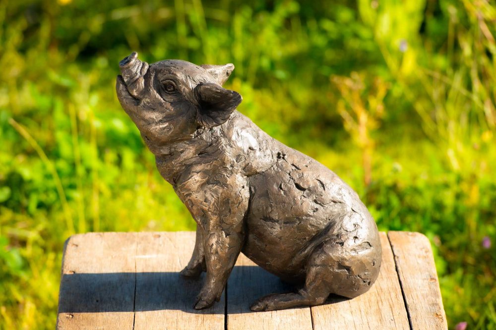 10 'Sitting Piglet', Piglet Sculpture, Bronze Fawn, Foundry Bronze Resin, Tanya Russell Animal Sculptures (12 of 12)