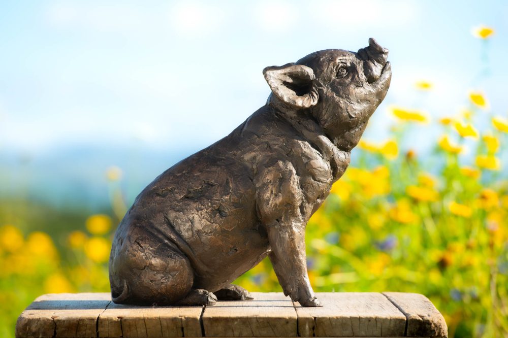 2 'Sitting Piglet', Piglet Sculpture, Bronze Fawn, Foundry Bronze Resin, Tanya Russell Animal Sculptures (5 of 12)