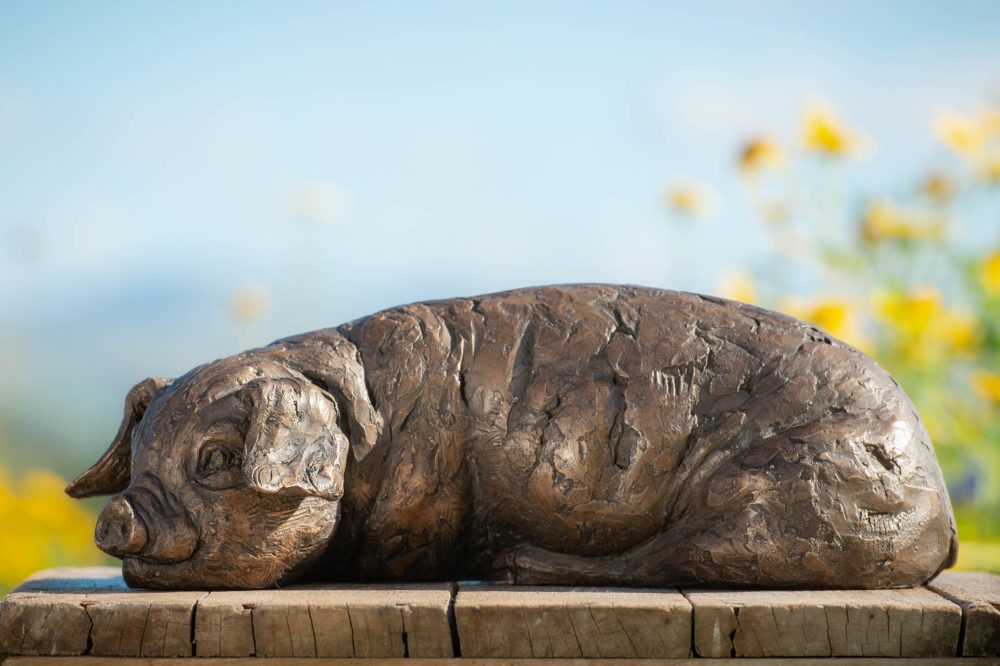 3 'Lying Piglet', Piglet Sculpture, Bronze Piglet, Bronze Resin, Tanya Russell Animal Sculptures (1 of 9)