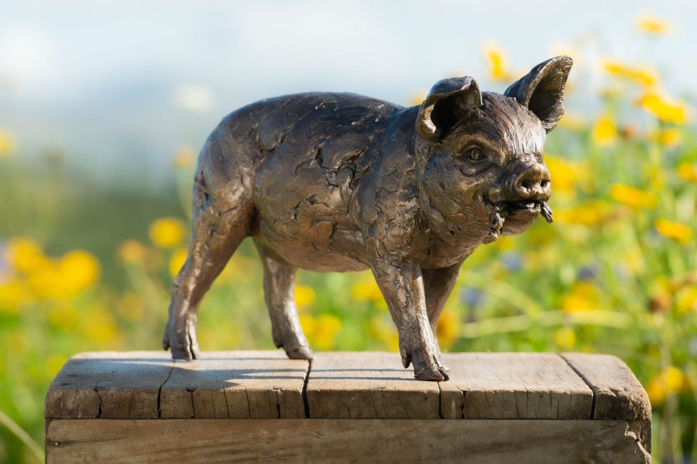 3 'Standing Piglet', Piglet Sculpture, Piglet Statue, Bronze Resin, Tanya Russell Animal Sculptures (3 of 10)